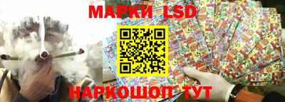 стафф Кимры