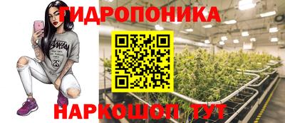 стафф Кимры